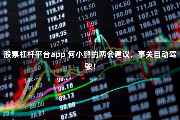 股票杠杆平台app 何小鹏的两会建议，事关自动驾驶！